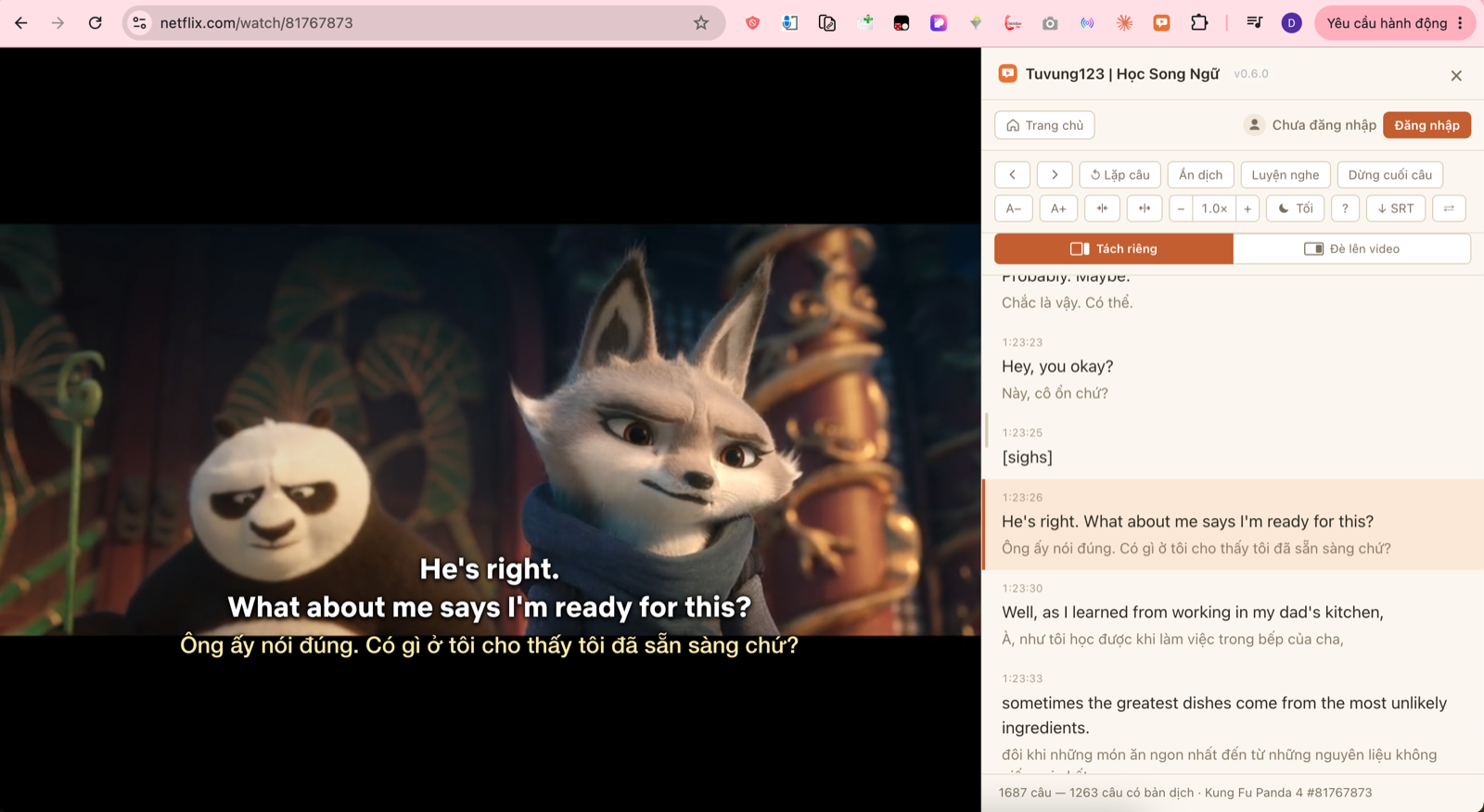 Bảng phụ đề song ngữ Anh - Việt hiện bên cạnh trình phát Netflix