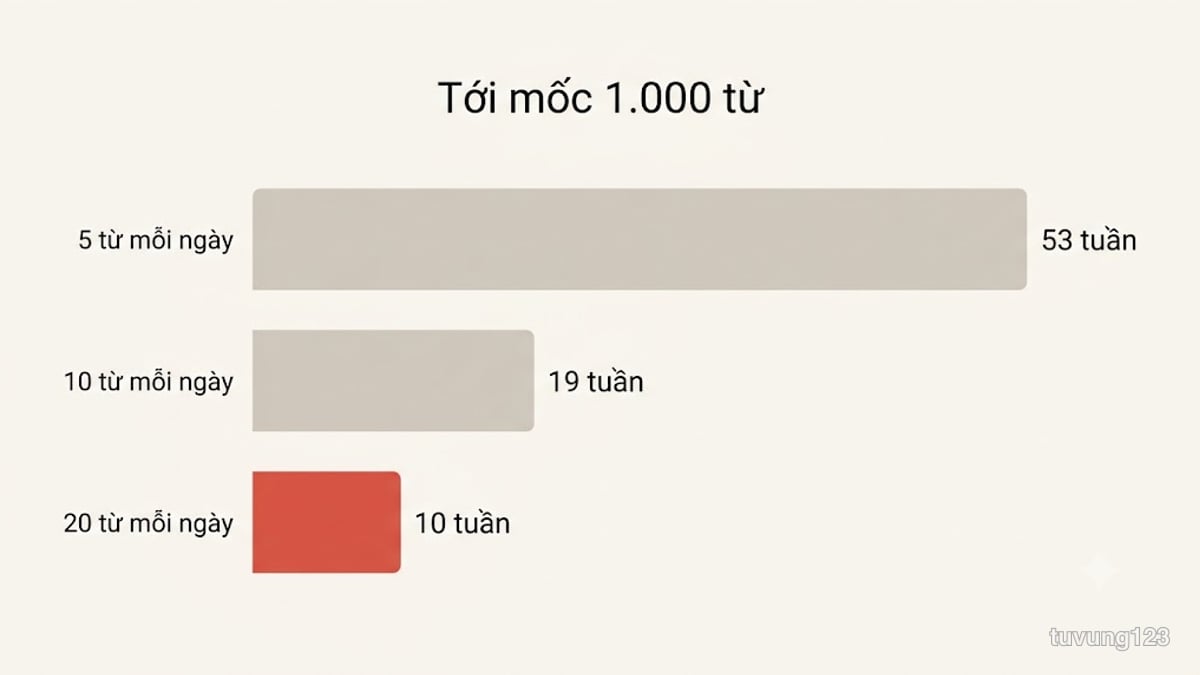 Ba thanh so sánh: học 5 từ mỗi ngày mất 53 tuần, 10 từ mất 19 tuần, 20 từ mất 10 tuần