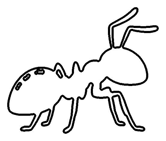 ant