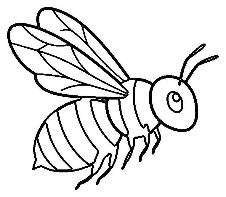 bee