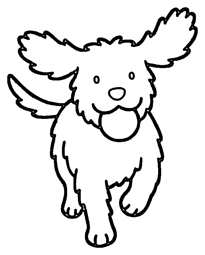 fetch