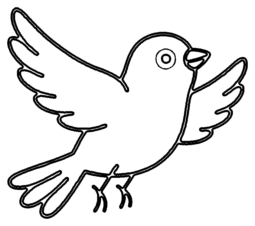 fly