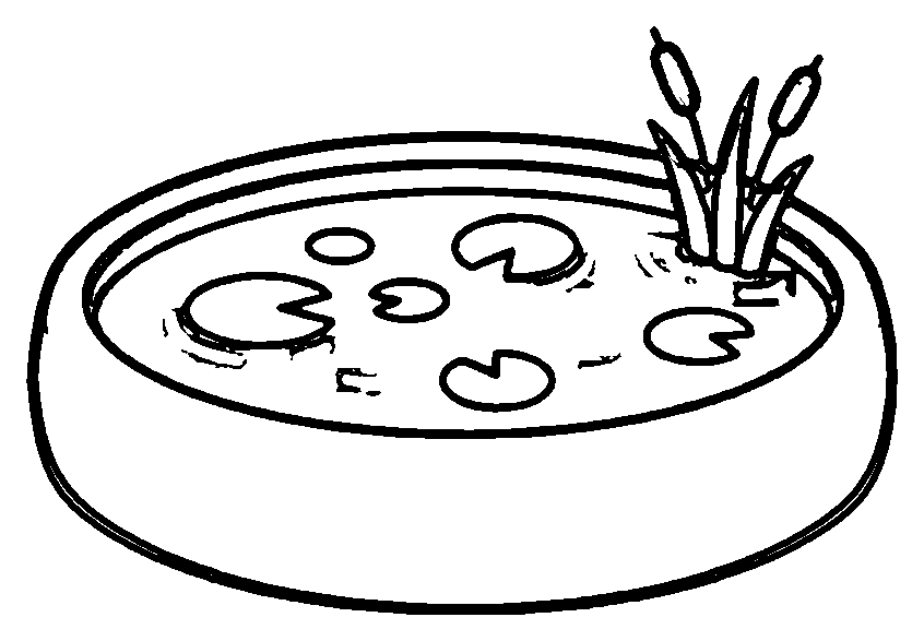 pond