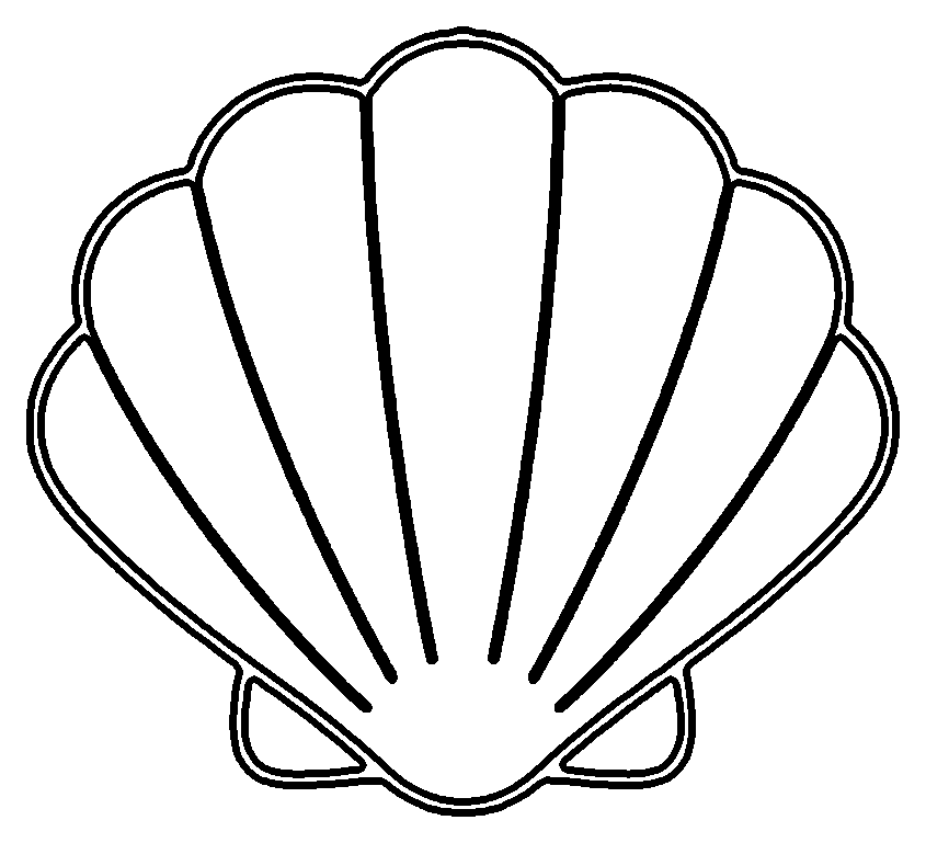 shell