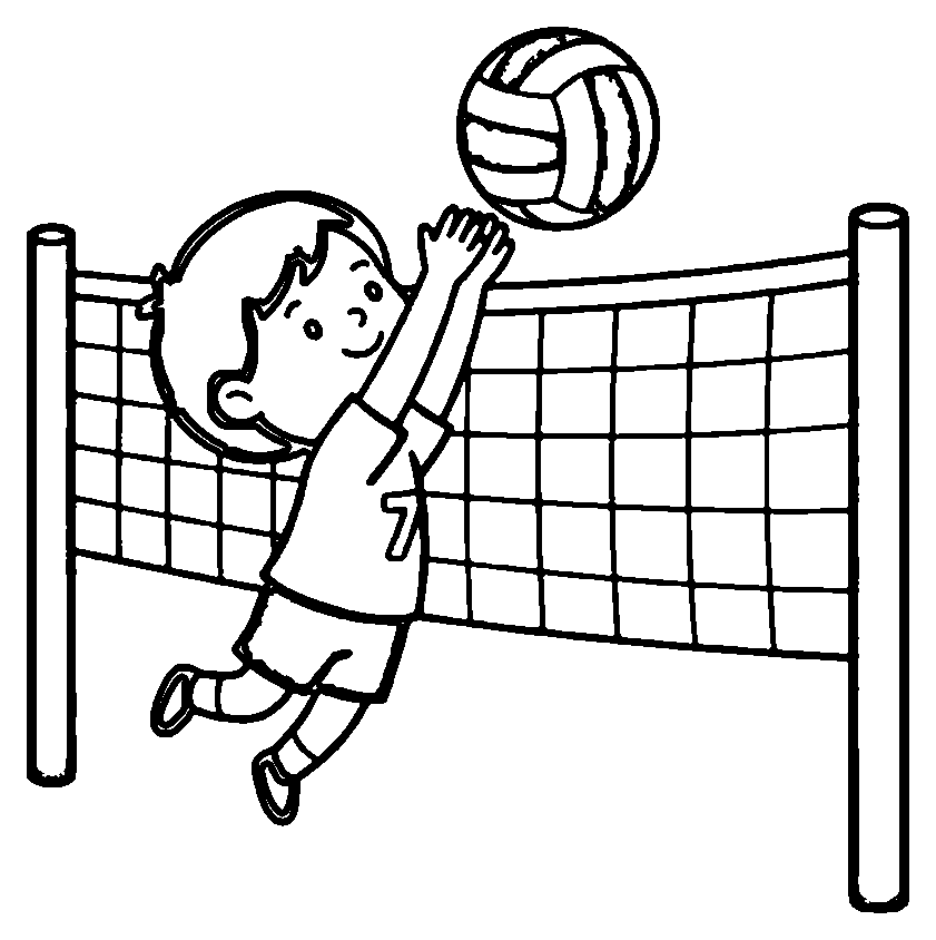 volleyball